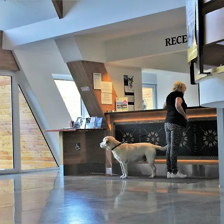 Bialy Potok Guest house Zakopane