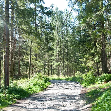 Casa de hóspedes Zespół Dolina Białego - Biały Potok