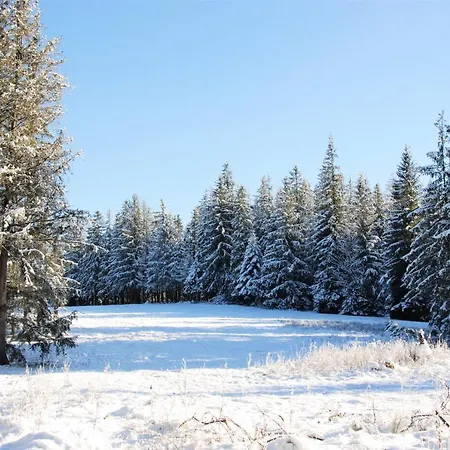 Zespół Dolina Białego - Biały Potok Casa de hóspedes Zakopane