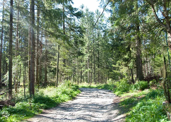 بيت ضيافة Zespol Dolina Bialego - Bialy Potok