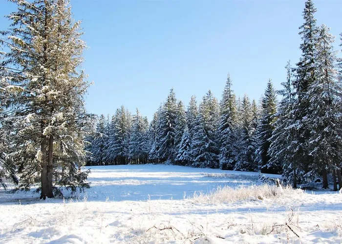 Zespol Dolina Bialego - Bialy Potok بيت ضيافة زاكوباني